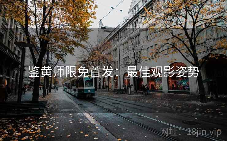 鉴黄师限免首发：最佳观影姿势